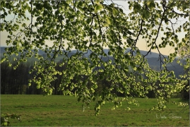 <p>Šluknovsko - pod Hrazeným</p>